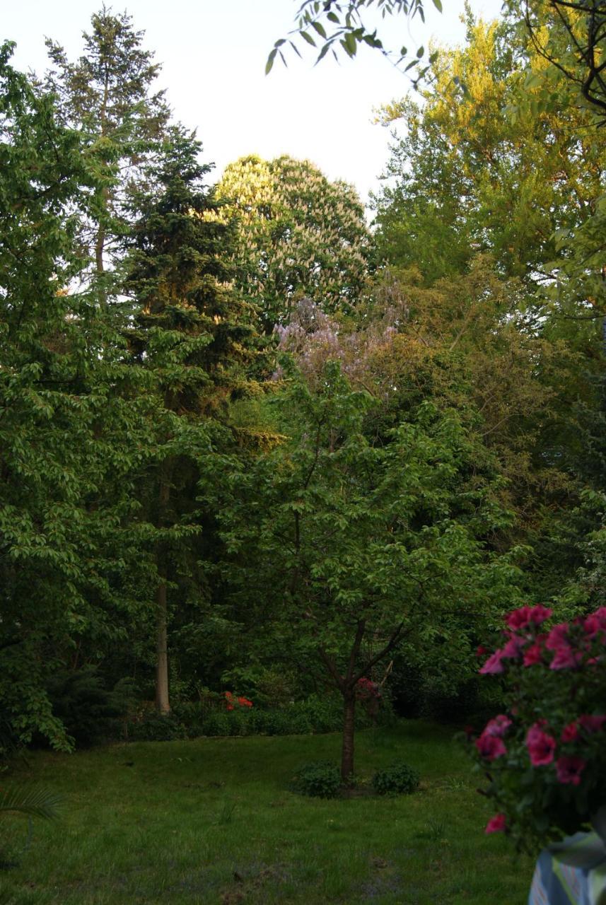 "Am Griebnitzsee" 14482 Potsdam-Babelsberg Εξωτερικό φωτογραφία